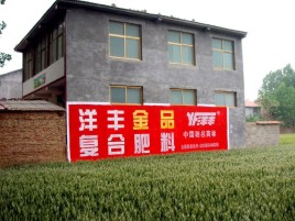 汉川如何让墙体广告展现最大化效果