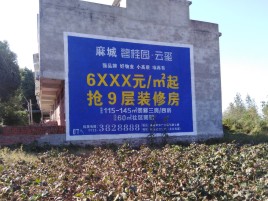 汉川品牌公司青睐的墙体广告