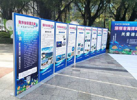 汉川KT板的种类和知识。